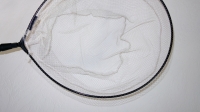 Image Renkenkescher Ghost