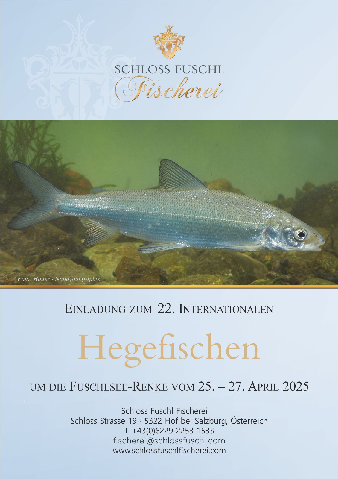 Hegenefischen 2025